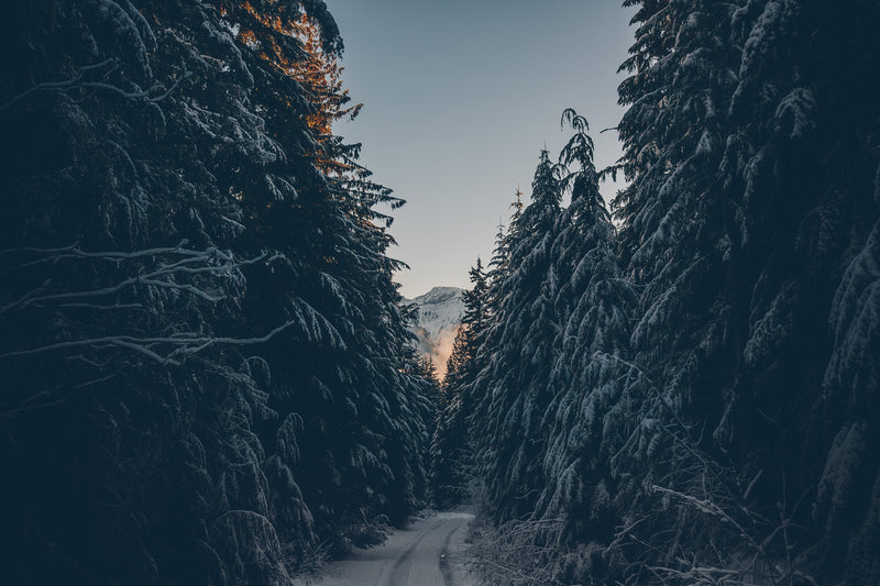 Snow Pathway